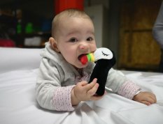 Detský eshop: Tukado - pískacia edukačná hračka
