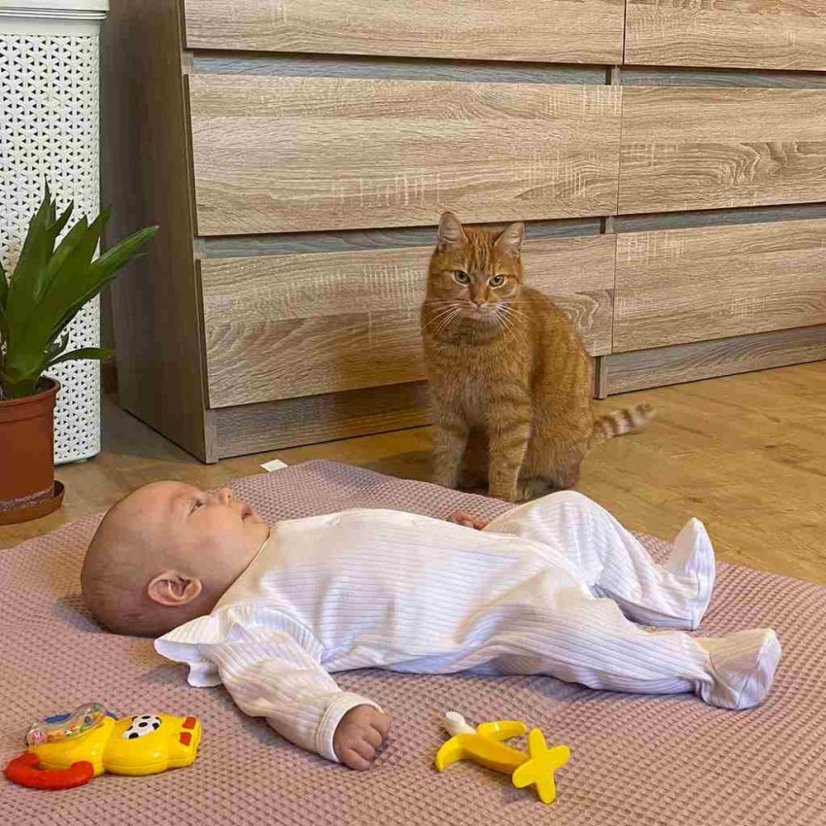 Detský eshop: Dojčenský bavlnený overal New Baby Practical ružový dievča