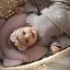 Detský eshop - Mušelínový fixační polštář Sleepee Rose Růžová