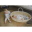 Celoročný spací vak s nohami MELANGE GREY/DARK GREY, veľkosť XS (6-12m), sivá/tmavosivá, od značky Sleepee