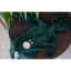 Detský rastúci teplákový overal Dinosaur, BASIC Dark Green, tmavozelená, od značky Moniel - Veľkosť: 68 (3-6m) MON