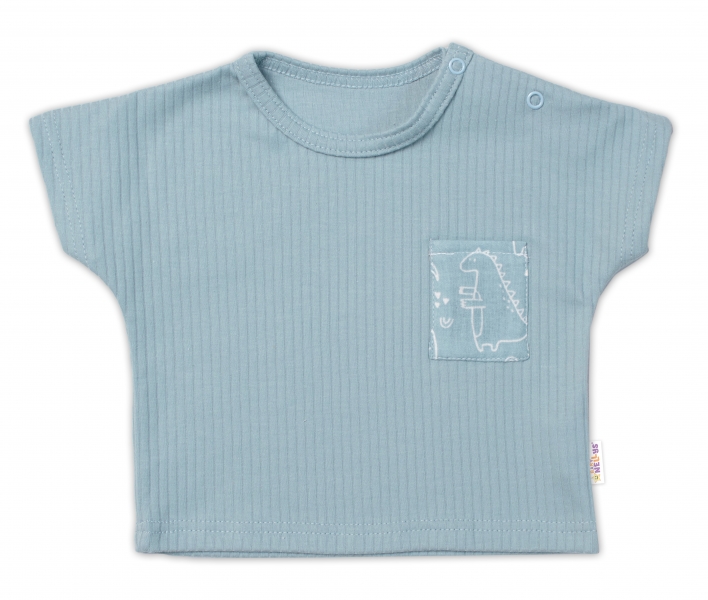 Detský eshop: Tričko s krátkym rukávom, kraťasky + šatka, mušelín, dino, baby nellys, mätové